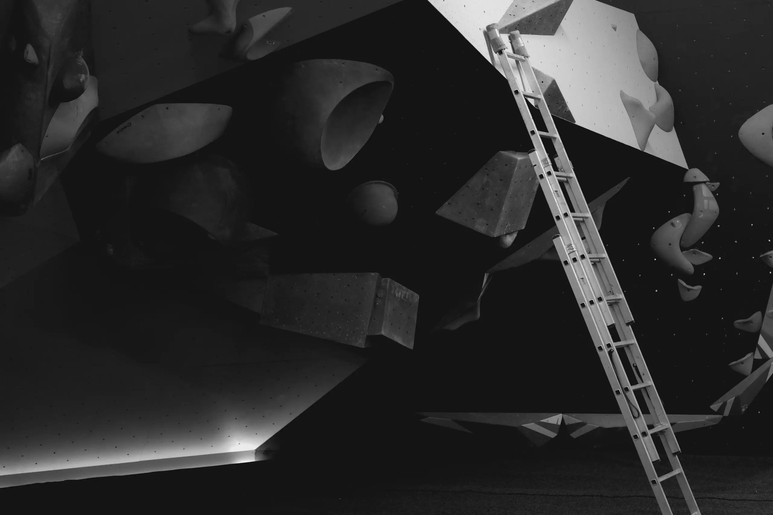 Scianka wspinaczkowa, chwyty, drabina, bouldering